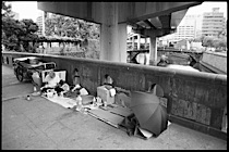 cardboard_collectors-008.jpg