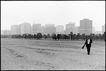 in_the_mood_for_tokyo_1-005.jpg