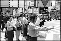 in_the_mood_for_tokyo_1-009.jpg