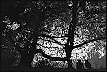 in_the_mood_for_tokyo_1-024.jpg