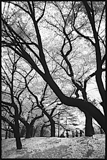 in_the_mood_for_tokyo_2-007.jpg