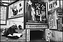 in_the_mood_for_tokyo_3-007.jpg