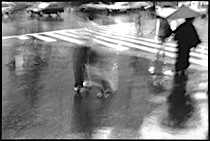 rain_poetry_1-007.jpg