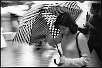 rain_poetry_1-009.jpg