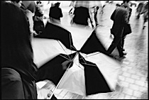 rain_poetry_1-015.jpg