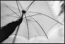 rain_poetry_2-007.jpg