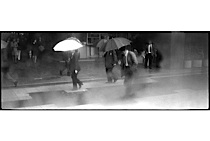 rain_poetry_2-012.jpg