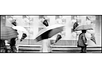 rain_poetry_2-017.jpg