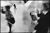 rain_poetry_2-022.jpg