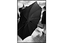 rain_poetry_2-023.jpg