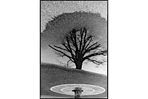 surrealistic_reflections_1-003.jpg