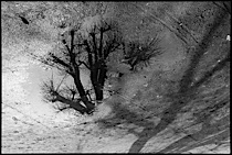 surrealistic_reflections_1-006.jpg