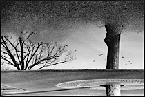 surrealistic_reflections_1-011.jpg