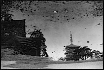 surrealistic_reflections_1-015.jpg