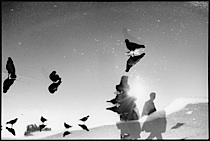 surrealistic_reflections_1-016.jpg