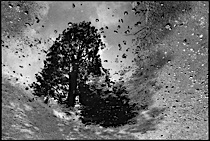 surrealistic_reflections_1-021.jpg