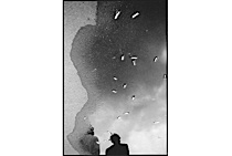 surrealistic_reflections_1-023.jpg