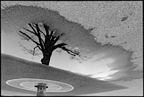 surrealistic_reflections_1-024.jpg