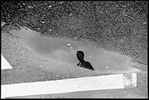 surrealistic_reflections_1-025.jpg